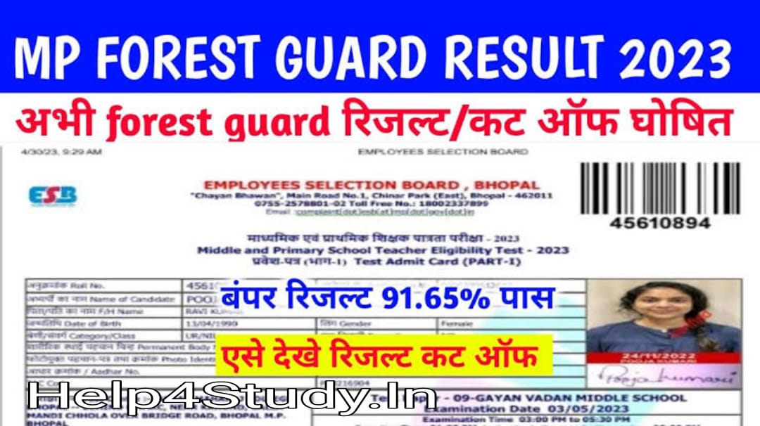 MP Forest Guard Result 2024